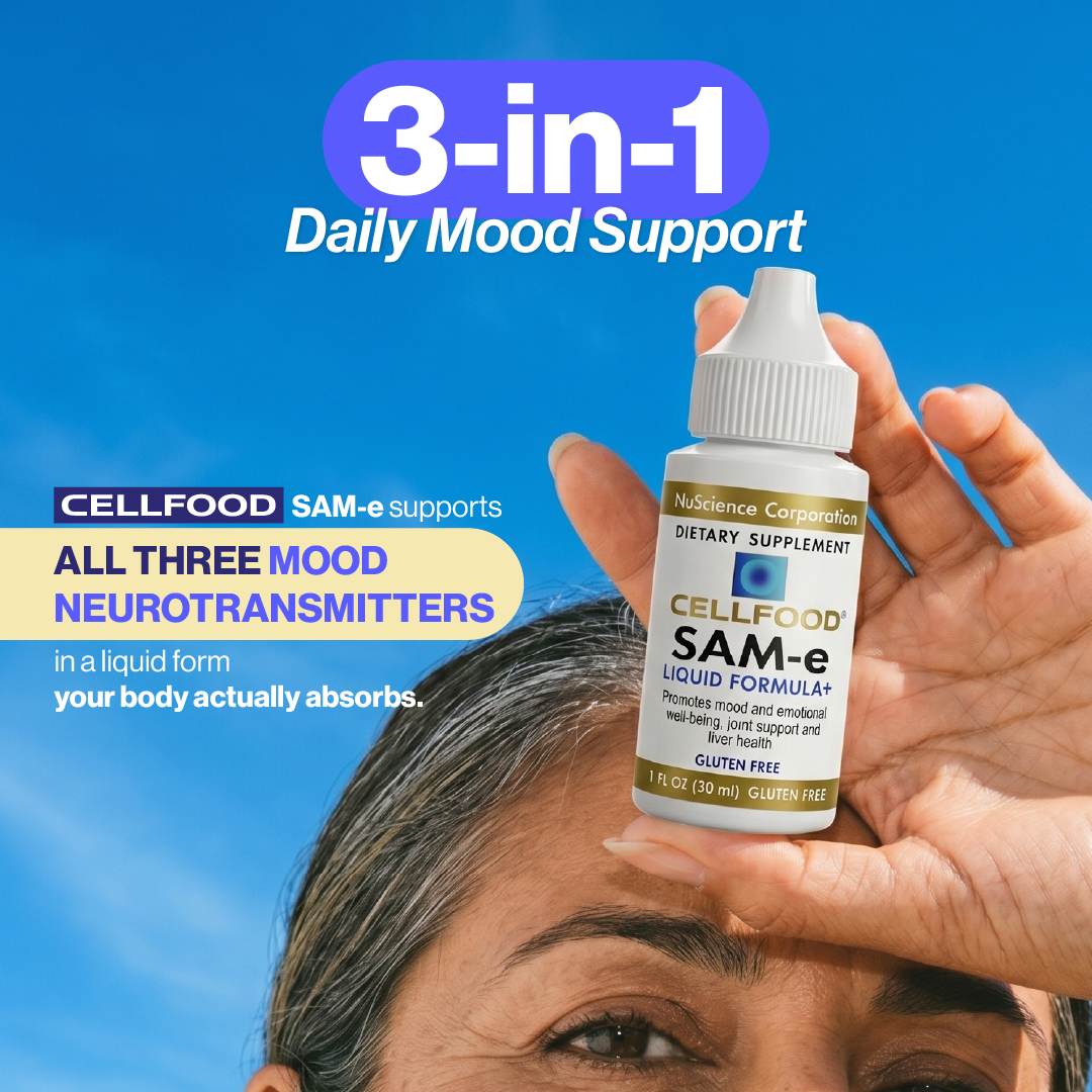 3-in-1 Daily Mood Support — neurotransmitter angle